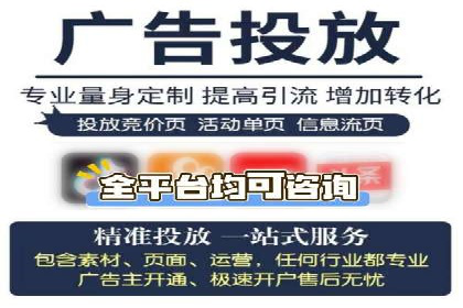 竞价广告策略案例分析
